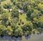 331 Old Hickory, New Lenox, IL 60451