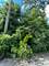 10217 S Wallace, Chicago, IL 60628