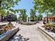 305 3rd, Downers Grove, IL 60515