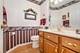 18358 Willow, Lansing, IL 60438