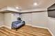 3623 S Emerald, Chicago, IL 60609