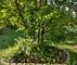 910 Vera, Wheeling, IL 60090