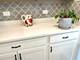 546 Cimmaron, Crystal Lake, IL 60012