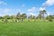 23068 N Pinehurst, Kildeer, IL 60047