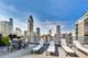 1000 N Lake Shore Unit 804, Chicago, IL 60611