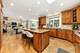 1207 Bonnema, Naperville, IL 60565
