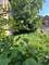 2653 W Adams, Chicago, IL 60612