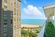 1000 N Lake Shore Unit 701, Chicago, IL 60611