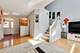 24043 W Pear Tree, Plainfield, IL 60585