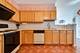 24043 W Pear Tree, Plainfield, IL 60585