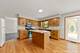 409 W Madison, Villa Park, IL 60181