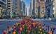 161 E Chicago Unit 34F, Chicago, IL 60611
