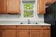 6540 S Vernon, Chicago, IL 60637