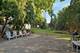 311 Prairie, Highwood, IL 60040