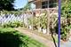 3409 173rd, Lansing, IL 60438