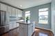 231 Lionel, Grayslake, IL 60030
