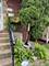 4824 S La Crosse, Chicago, IL 60638