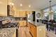 150 Festival, Elgin, IL 60120