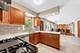 13245 Silver Fox, Lemont, IL 60439