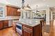 21070 W Summerfield, Kildeer, IL 60047