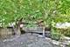 2724 N Racine Unit 1, Chicago, IL 60614
