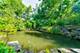 14120 Jankowski, Woodstock, IL 60098