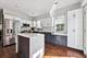 3002 N Hoyne, Chicago, IL 60618