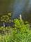 39450 N Circle, Antioch, IL 60002