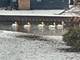 39450 N Circle, Antioch, IL 60002