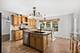 1309 Beckett, Schaumburg, IL 60173