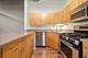 900 N Kingsbury Unit 861, Chicago, IL 60610