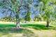 502 W Ronald, Addison, IL 60101