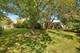 2045 Winding Lakes, Plainfield, IL 60586
