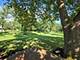 12543 S 100th, Palos Park, IL 60464