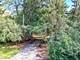 S639 Prince Crossing, West Chicago, IL 60185