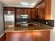 334 N Jefferson Unit A, Chicago, IL 60661