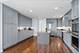 415 E North Water Unit 2203, Chicago, IL 60611