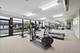1150 W 15th Unit 203, Chicago, IL 60608