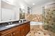 450 E Bowen Unit 1E, Chicago, IL 60653