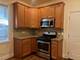 543 Gunderson Unit 2, Oak Park, IL 60304