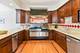 315 S Scoville, Oak Park, IL 60302