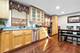 12360 Derby, Orland Park, IL 60467