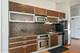 650 W Wayman Unit 505C, Chicago, IL 60661