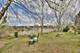 2146 Prairie, Round Lake Heights, IL 60073