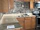 9436 Kelvin Unit 3234, Schiller Park, IL 60176