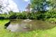 5727 Hampton, Long Grove, IL 60047