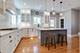 1924 Wesley, Evanston, IL 60201