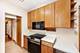 537 S Harvey, Oak Park, IL 60304