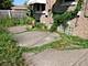 8314 S Hoyne, Chicago, IL 60620