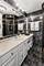 1000 N Lake Shore Unit 49A, Chicago, IL 60611